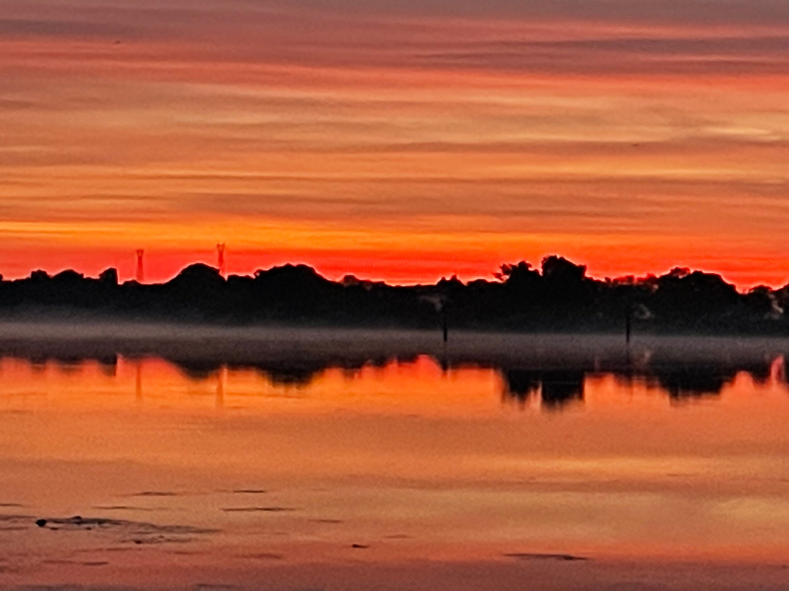 Photo de Régis FORTUNE