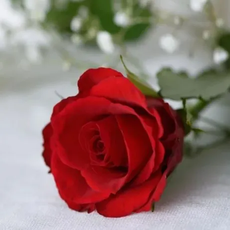 Photo de Rosette BESSON